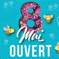 Pascale Lanvin, ostéo fluidique, énergéticienne, magnétiseur, coupeur de feu, M2P Champ Informationnel, drainage lympho fluidique, bio résonance, soin Egypto Essenien, Harmonisation Globale, Mériel, Val d’Oise, 95, Taverny, Cergy Pontoise, Pontoise, Méry 