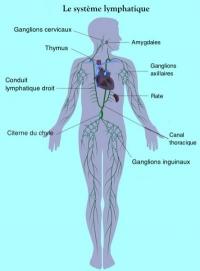 drainage lympho fluidique, ostéo fluidique, ostéopathe, soins egypto essenien, naturoquantique, bieoresonance, M2P Champ Informationnel, magnétiseur, coupeur de feu et de zona, énergéticienne, pascale lanvin, yoga&co, bouger la vie, mériel, val d'oise, 95