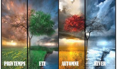 Pascale Lanvin, ostéo fluidique, énergéticienne, magnétiseur, coupeur de feu, M2P Champ Informationnel, drainage lympho fluidique, bio résonance, soin Egypto Essenien, Harmonisation Globale, Mériel, Val d’Oise, 95, Taverny, Cergy Pontoise, Pontoise, Méry 