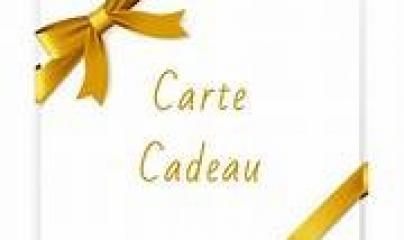 Pascale Lanvin, ostéo fluidique, énergéticienne, magnétiseur, coupeur de feu, M2P Champ Informationnel, drainage lympho fluidique, bio résonance, soin Egypto Essenien, Harmonisation Globale, Mériel, Val d’Oise, 95, Taverny, Cergy Pontoise, Pontoise, Méry 