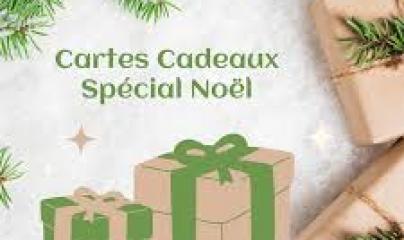 Pascale Lanvin, ostéo fluidique, énergéticienne, magnétiseur, coupeur de feu, M2P Champ Informationnel, drainage lympho fluidique, bio résonance, soin Egypto Essenien, Harmonisation Globale, Mériel, Val d’Oise, 95, Taverny, Cergy Pontoise, Pontoise, Méry 