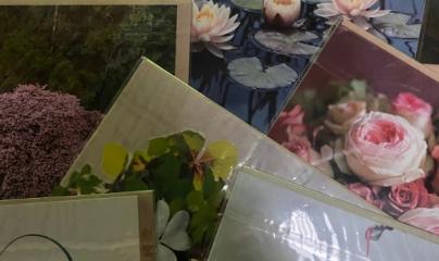 Pascale Lanvin, ostéo fluidique, énergéticienne, magnétiseur, coupeur de feu, M2P Champ Informationnel, drainage lympho fluidique, bio résonance, soin Egypto Essenien, Harmonisation Globale, Mériel, Val d’Oise, 95, Taverny, Cergy Pontoise, Pontoise, Méry 