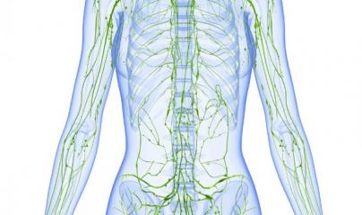 Pascale Lanvin, ostéo fluidique, énergéticienne, magnétiseur, coupeur de feu, M2P Champ Informationnel, drainage lympho fluidique, biorésonance, soin Egypto Essenien, Harmonisaton Globale, Paris, Mériel, Val d’Oise, 95, Taverny, Cergy Pontoise, Pontoise, 