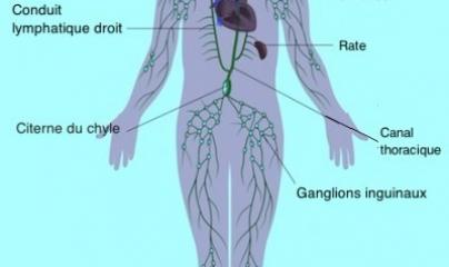 drainage lympho fluidique, ostéo fluidique, ostéopathe, soins egypto essenien, naturoquantique, bieoresonance, M2P Champ Informationnel, magnétiseur, coupeur de feu et de zona, énergéticienne, pascale lanvin, yoga&co, bouger la vie, mériel, val d'oise, 95