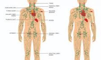 Pascale Lanvin, ostéo fluidique, énergéticienne, magnétiseur, coupeur de feu, M2P Champ Informationnel, drainage lympho fluidique, bio résonance, soin Egypto Essenien, Harmonisation Globale, Mériel, Val d’Oise, 95, Taverny, Cergy Pontoise, Pontoise, Méry 