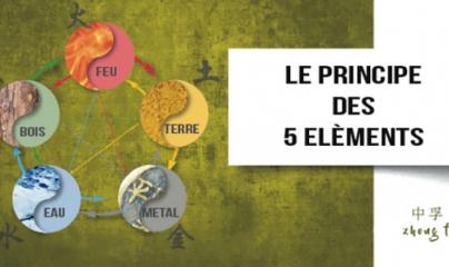 Pascale Lanvin, ostéo fluidique, énergéticienne, magnétiseur, coupeur de feu, M2P Champ Informationnel, drainage lympho fluidique, bio résonance, soin Egypto Essenien, Harmonisation Globale, Mériel, Val d’Oise, 95, Taverny, Cergy Pontoise, Pontoise, Méry 