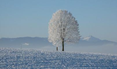 Pascale Lanvin, ostéo fluidique, énergéticienne, magnétiseur, coupeur de feu, M2P Champ Informationnel, drainage lympho fluidique, bio résonance, soin Egypto Essenien, Harmonisation Globale, Mériel, Val d’Oise, 95, Taverny, Cergy Pontoise, Pontoise, Méry 