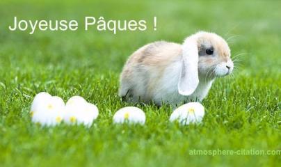 pascale Lanvin, ostéo fluidique, ostéopathe, naturoquantique, bioréssonance, soin egypto essenien, drainage lympho fluidique, coupeur de feu, M2P Champs informationnel, magnétiseur,coupeur de feu et de zona, énergéticienne, mériel, paris, taverny, cergy p