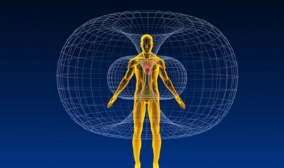 Pascale Lanvin, ostéo fluidique ostéopathe, bioressonance, naturoquantique, drainage lympho fluidique, M2P Champ Informationnel, coupeur de feu et de zona, magnétiseur, énergéticienne, mériel, paris, taverny, cergy pontoise, pontoise, l'isle adam, auvers 