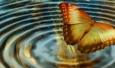 Pascale Lanvin , Ostéo fluidique, ostéopathe, bioressonance, naturoquantiue, drainage lympho fluidique, M2P Champ Informationnel, soin egypto essenien, magnétiseur, coupeur de feu et de zona, énergéticienne, yoga&co, bouger la vie, mériel, val d'oise, par