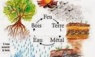 Pascale Lanvin, ostéo fluidique, énergéticienne, magnétiseur, coupeur de feu, M2P Champ Informationnel, drainage lympho fluidique, bio résonance, soin Egypto Essenien, Harmonisation Globale, Mériel, Val d’Oise, 95, Taverny, Cergy Pontoise, Pontoise, Méry 