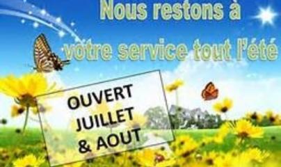 Pascale Lanvin, ostéo fluidique, énergéticienne, magnétiseur, coupeur de feu, M2P Champ Informationnel, drainage lympho fluidique, bio résonance, soin Egypto Essenien, Harmonisation Globale, Mériel, Val d’Oise, 95, Taverny, Cergy Pontoise, Pontoise, Méry 