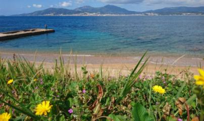 Pascale Lanvin, ostéo fluidique, énergéticienne, magnétiseur, coupeur de feu, M2P Champ Informationnel, drainage lympho fluidique, bio résonance, soin Egypto Essenien, Harmonisation Globale, Mériel, Val d’Oise, 95, Taverny, Cergy Pontoise, Pontoise, Méry 