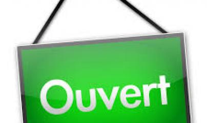 Pascale Lanvin, ostéo fluidique, énergéticienne, magnétiseur, coupeur de feu, M2P Champ Informationnel, drainage lympho fluidique, biorésonance, soin Egypto Essenien, Harmonisaton Globale, Paris, Mériel, Val d’Oise, 95, Taverny, Cergy Pontoise, Pontoise, 