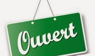 Pascale Lanvin, ostéo fluidique, énergéticienne, magnétiseur, coupeur de feu, M2P Champ Informationnel, drainage lympho fluidique, bio résonance, soin Egypto Essenien, Harmonisation Globale, Mériel, Val d’Oise, 95, Taverny, Cergy Pontoise, Pontoise, Méry 