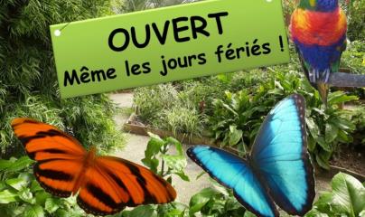 Pascale Lanvin, ostéo fluidique, énergéticienne, magnétiseur, coupeur de feu, M2P Champ Informationnel, drainage lympho fluidique, bio résonance, soin Egypto Essenien, Harmonisation Globale, Mériel, Val d’Oise, 95, Taverny, Cergy Pontoise, Pontoise, Méry 