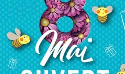 Pascale Lanvin, ostéo fluidique, énergéticienne, magnétiseur, coupeur de feu, M2P Champ Informationnel, drainage lympho fluidique, bio résonance, soin Egypto Essenien, Harmonisation Globale, Mériel, Val d’Oise, 95, Taverny, Cergy Pontoise, Pontoise, Méry 