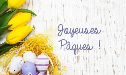 Pascale Lanvin, ostéo fluidique, énergéticienne, magnétiseur, coupeur de feu, M2P Champ Informationnel, drainage lympho fluidique, bio résonance, soin Egypto Essenien, Harmonisation Globale, Mériel, Val d’Oise, 95, Taverny, Cergy Pontoise, Pontoise, Méry 