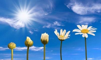 osteo fluidique, ostéopathe, drainage lympho fluidique, M2P Champ Informationnel, naturoquantique, bioresonance, soin egypto essennien, coupeur de feu, magnétiseur, énergéticienne, Pascale Lanvin, Yoga & Co, Bouger la vie, paris, mériel, 75019, 95, Val d'