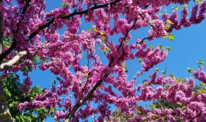 Pascale Lanvin, ostéo fluidique, énergéticienne, magnétiseur, coupeur de feu, M2P Champ Informationnel, drainage lympho fluidique, bio résonance, soin Egypto Essenien, Harmonisation Globale, Mériel, Val d’Oise, 95, Taverny, Cergy Pontoise, Pontoise, Méry 