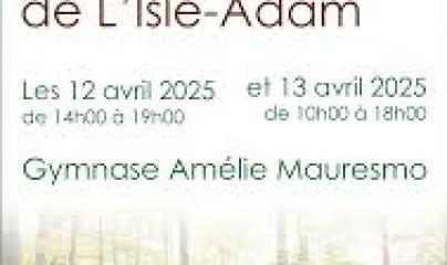 Pascale Lanvin, ostéo fluidique, énergéticienne, magnétiseur, coupeur de feu, M2P Champ Informationnel, drainage lympho fluidique, bio résonance, soin Egypto Essenien, Harmonisation Globale, Mériel, Val d’Oise, 95, Taverny, Cergy Pontoise, Pontoise, Méry 