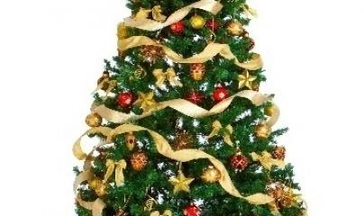 osteo fluidique, soin egypto-essenien, M2P Champ Informationnel, Mériel, val d'oise, 95, taverny, Cergy Pontoise, L'isle Adam, magnetiseur, coupeur de feu