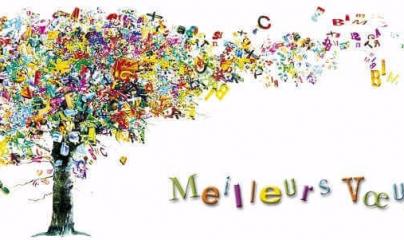 pascale lanvin, osteo fluidique,M2P Champ informationnel, drainage lympho fluidique, val d'oise, 95, paris, 75019, mériel, taverny, l'isle adam, auvers sur oise, cergy pontoise, pontoise, auvers sur oise, mery sur oise, yoga&co, bouger la vie, énergéticie