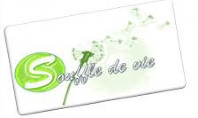 Pascale Lanvin, ostéo fluidique, énergéticienne, magnétiseur, coupeur de feu, M2P Champ Informationnel, drainage lympho fluidique, bio résonance, soin Egypto Essenien, Harmonisation Globale, Mériel, Val d’Oise, 95, Taverny, Cergy Pontoise, Pontoise, Méry 