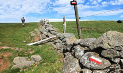 osteo fluidiqu, bioresonnance, naturoquantique, soin egypto essenien, énergéticien, magnétiseur, coupeur de feu, drainage lympho-fluidique, M2P Champ Informationnel, Yoga&Co, Paris, Mériel, Val d'Oise